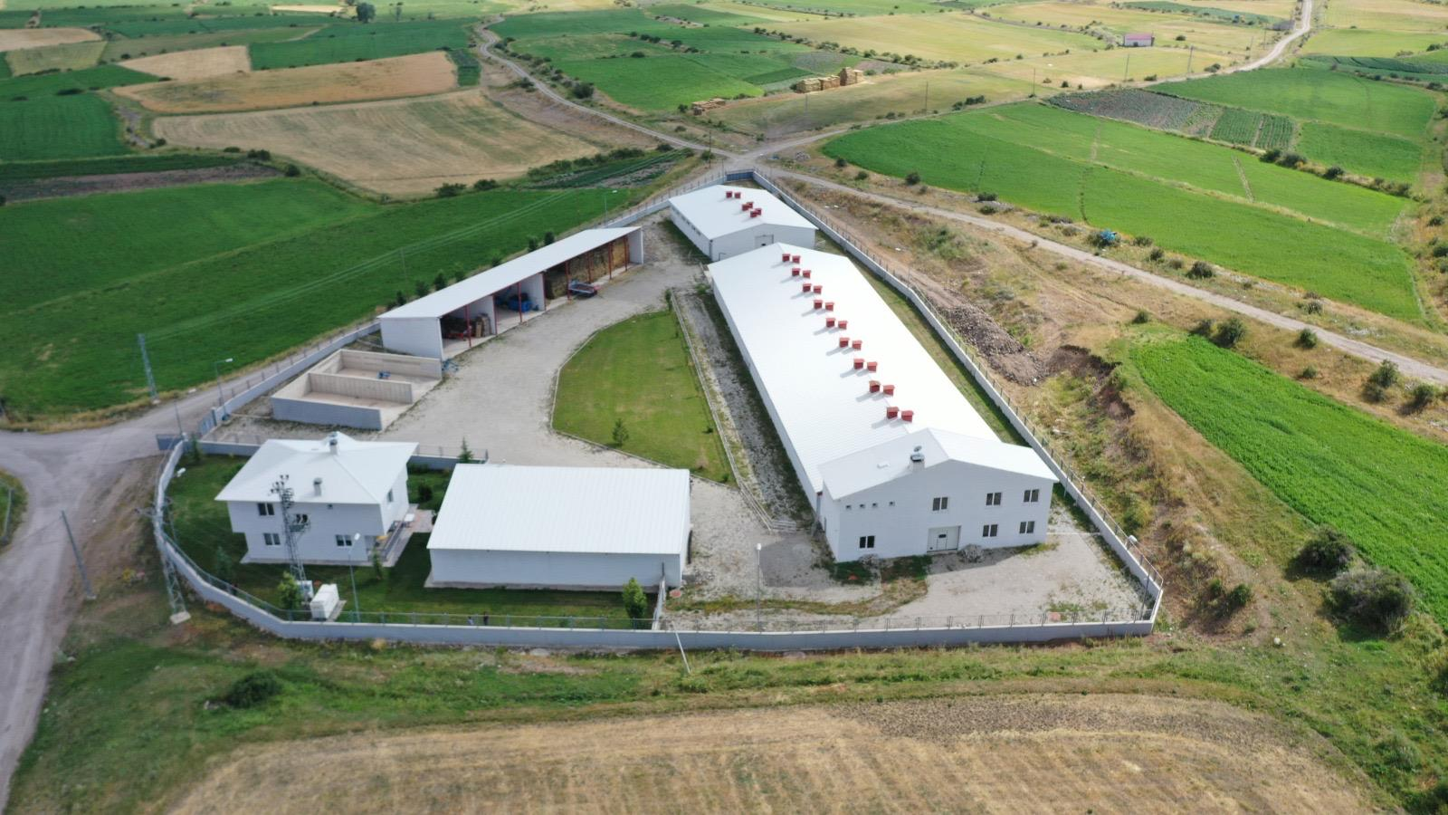 TARIMSAL YAPILAR